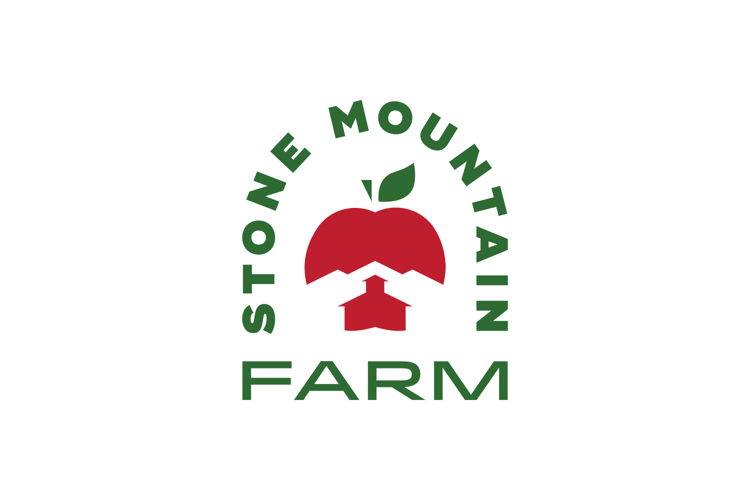 StoneMountain-LogoSystem